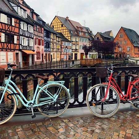 Gites Du Ladhof Colmar Dış mekan fotoğraf